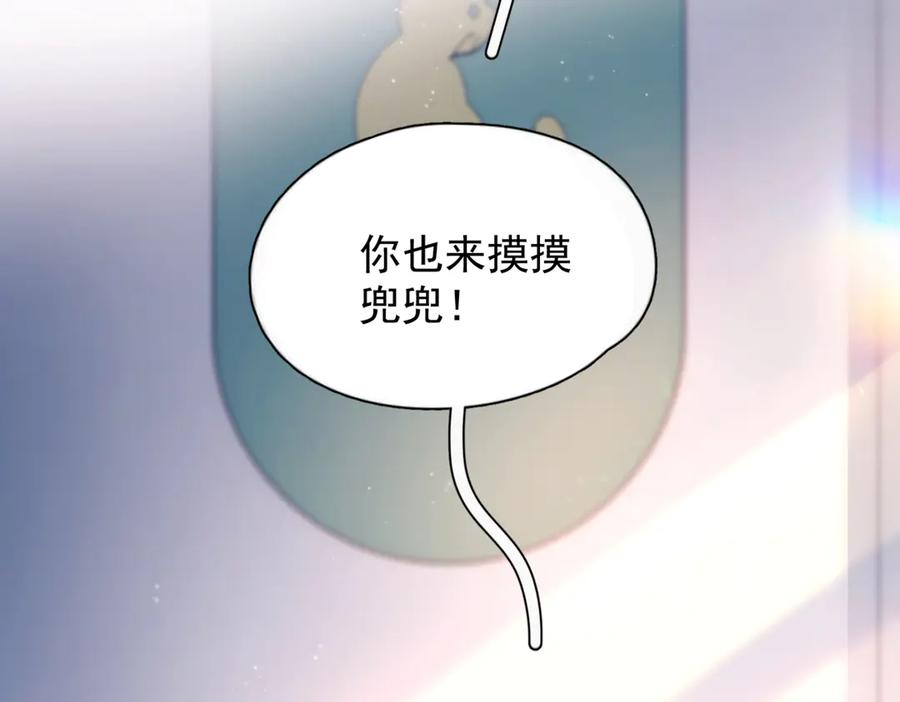 第243页