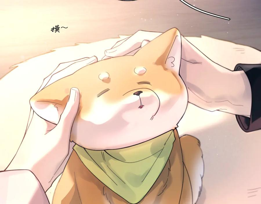 第339页