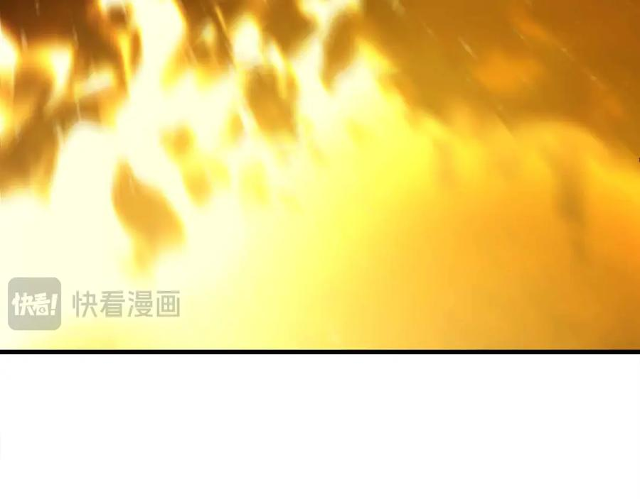 第537页