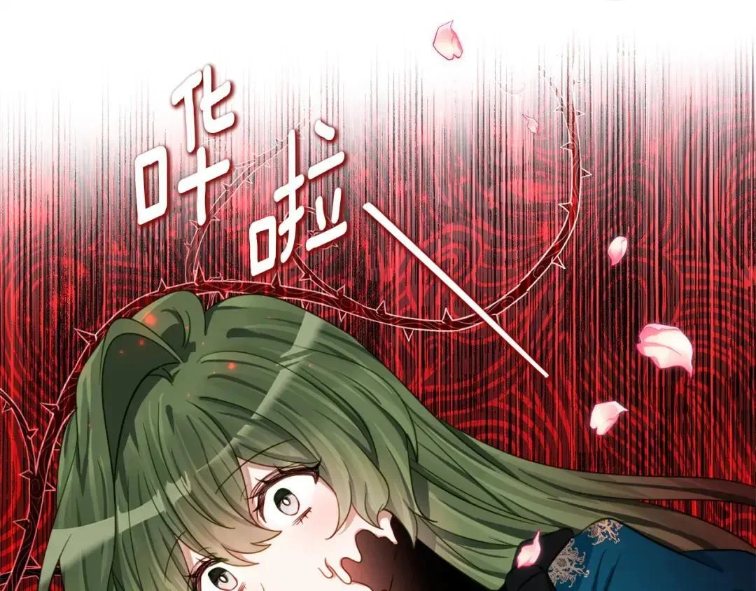 第255页