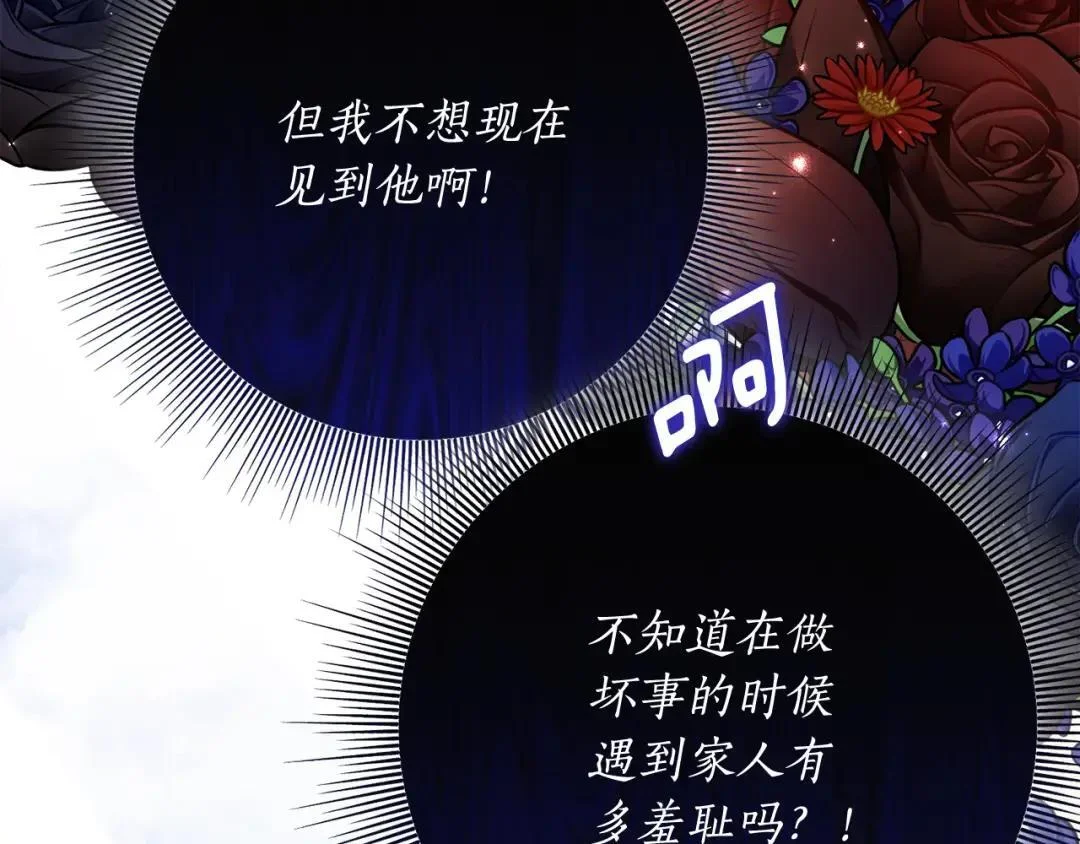 第255页
