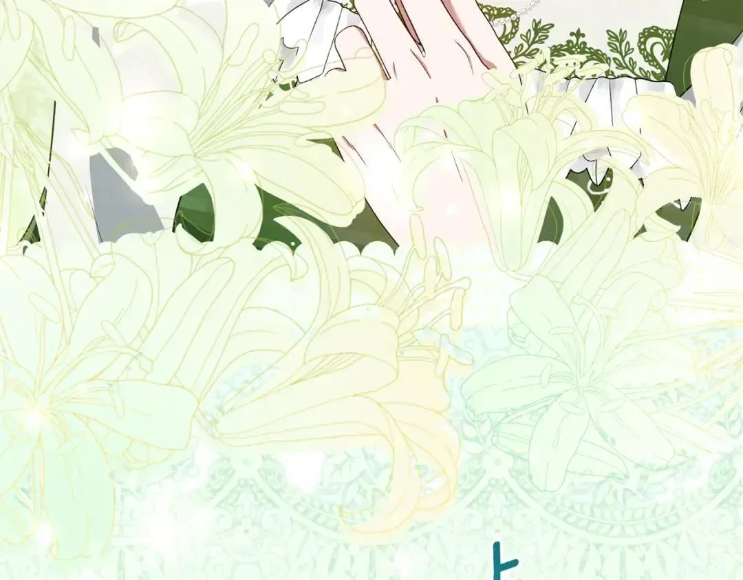 第447页