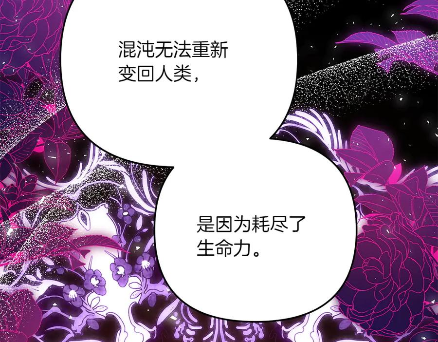 第255页