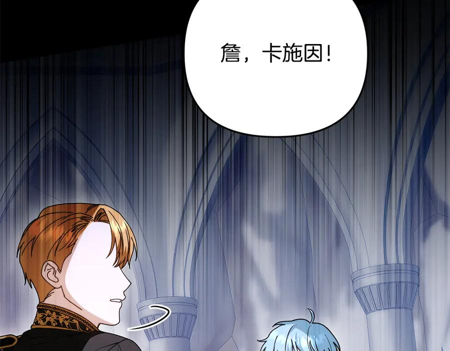 第231页