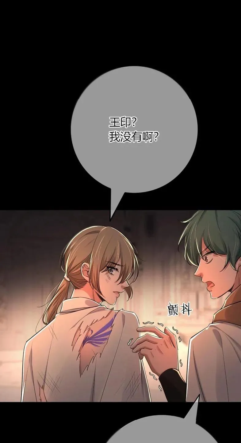 第213页