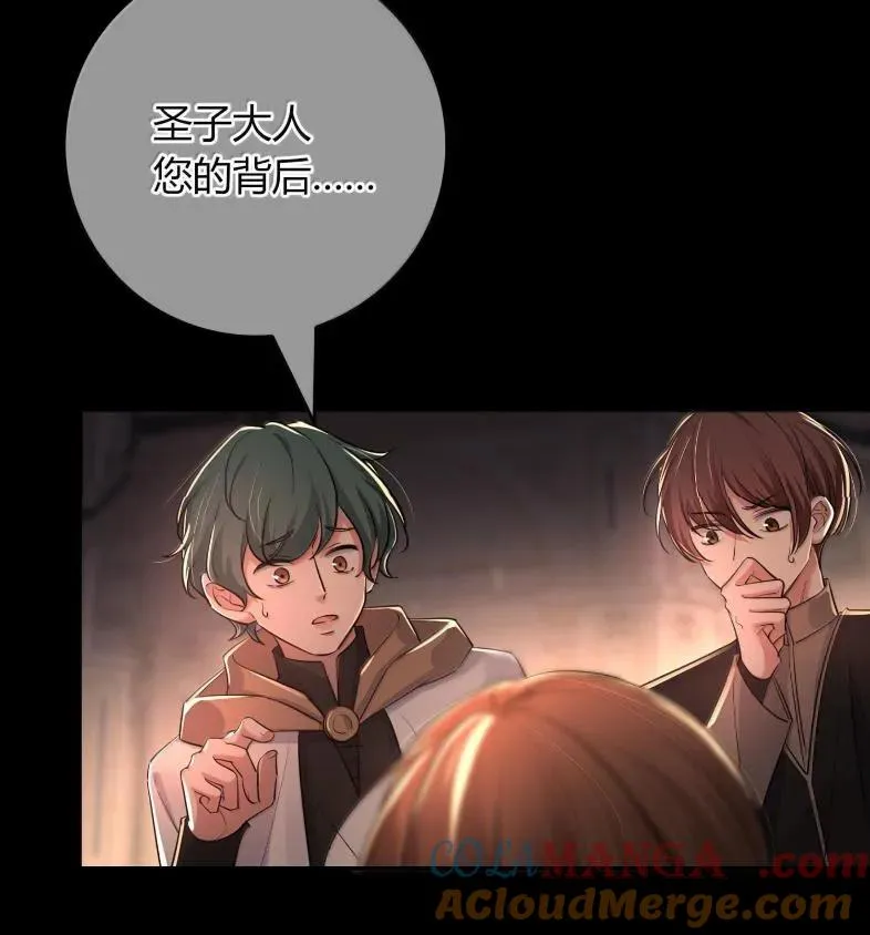 第204页