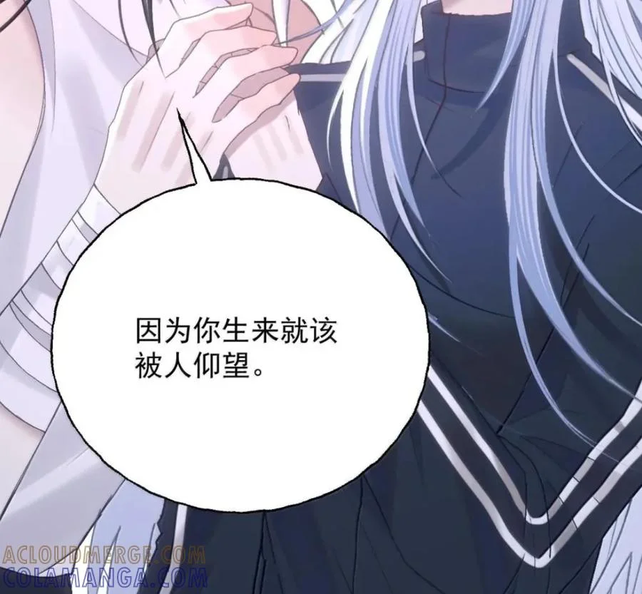 第204页