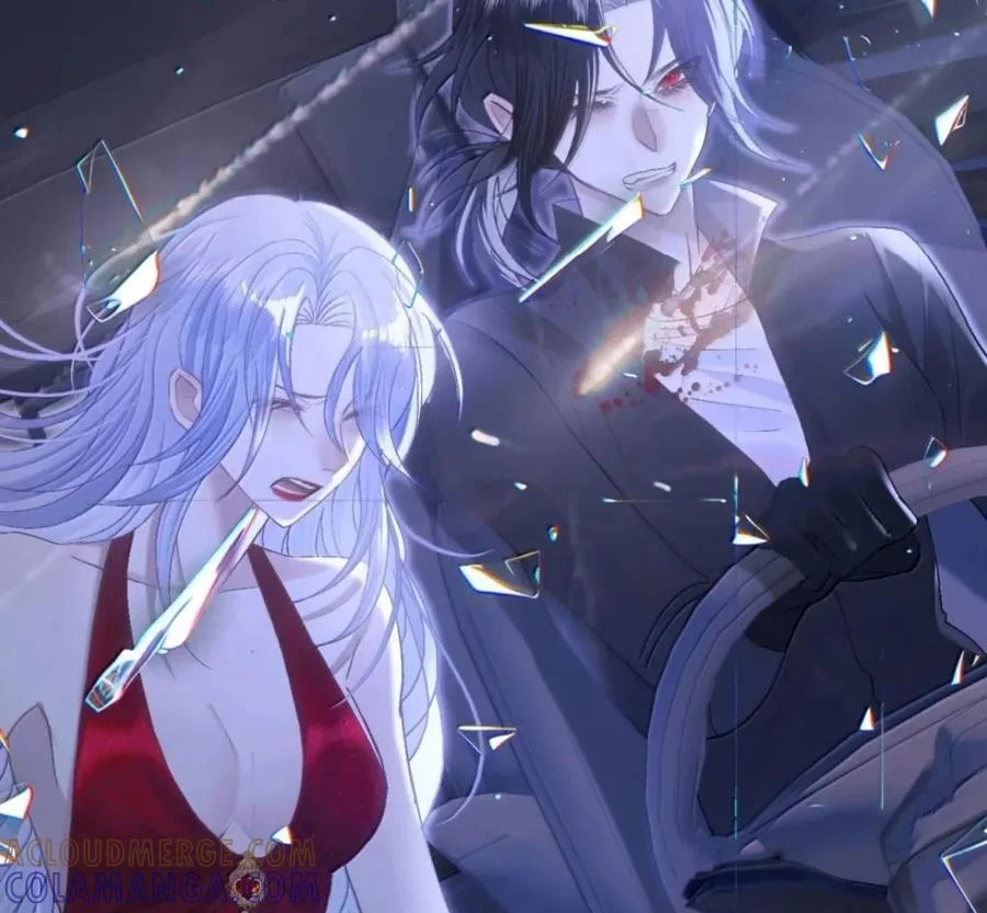 第204页