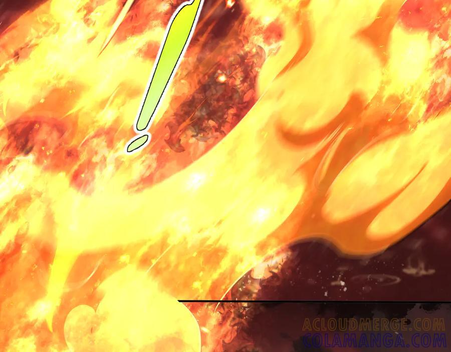 第264页