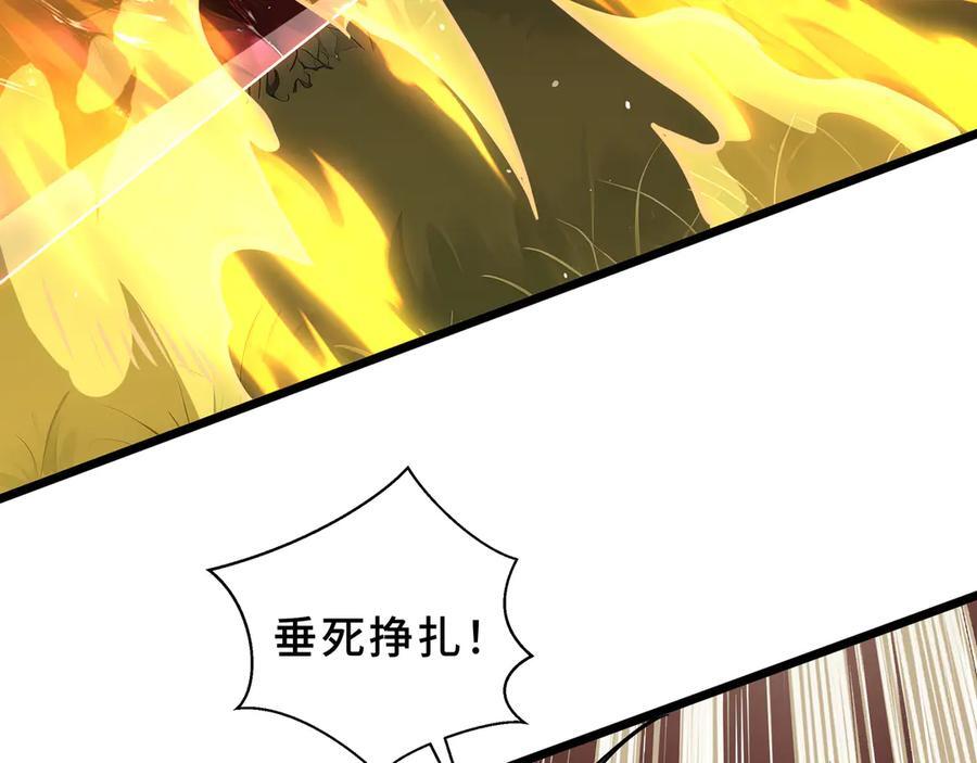 第255页