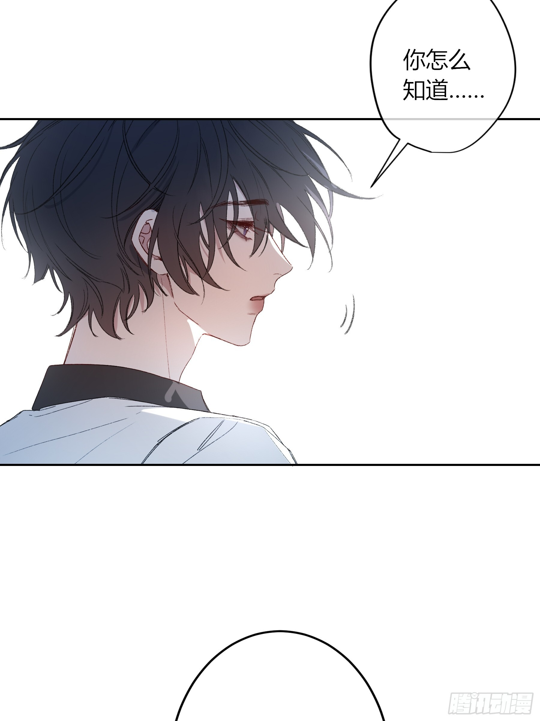 第204页