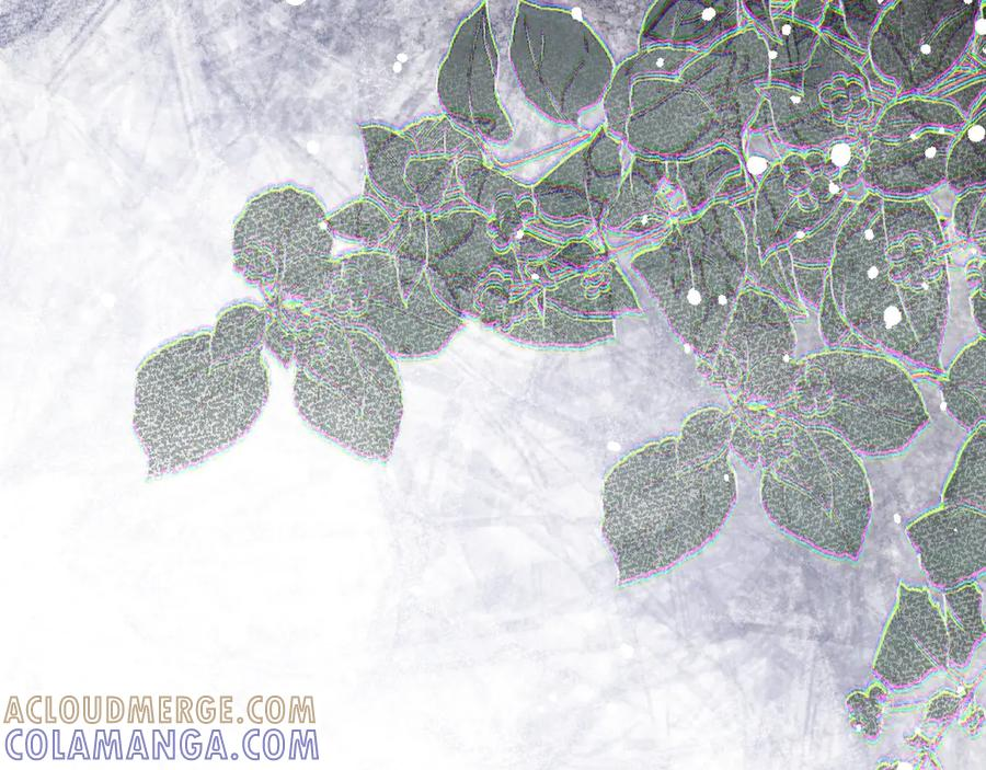 第300页