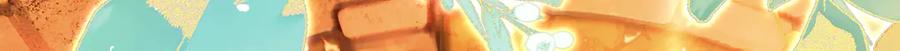 第255页