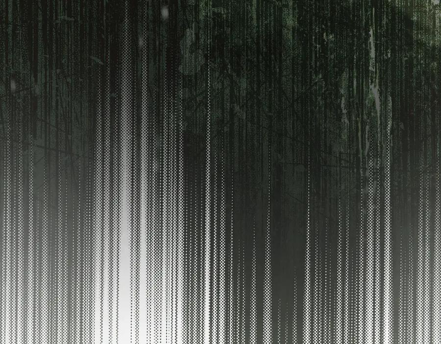 第351页