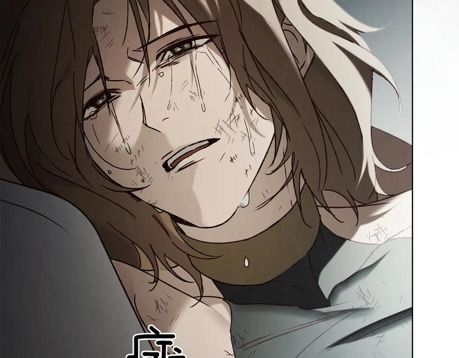 第354页