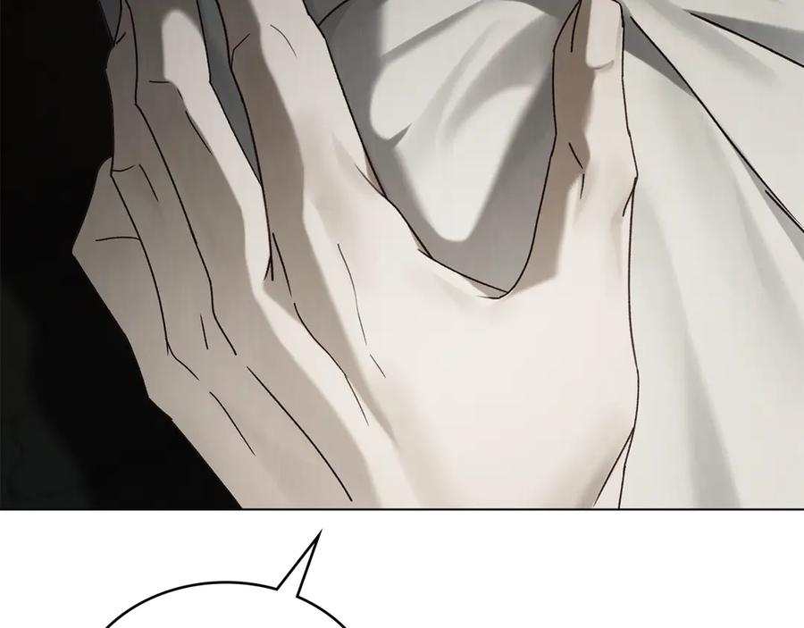 第411页
