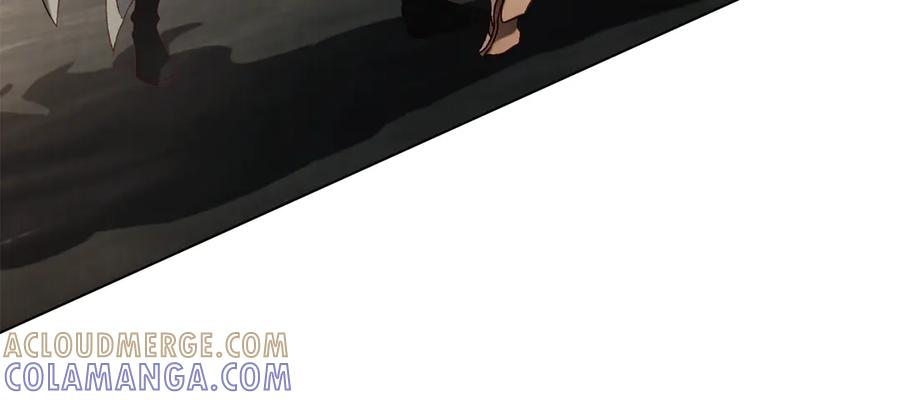 第204页