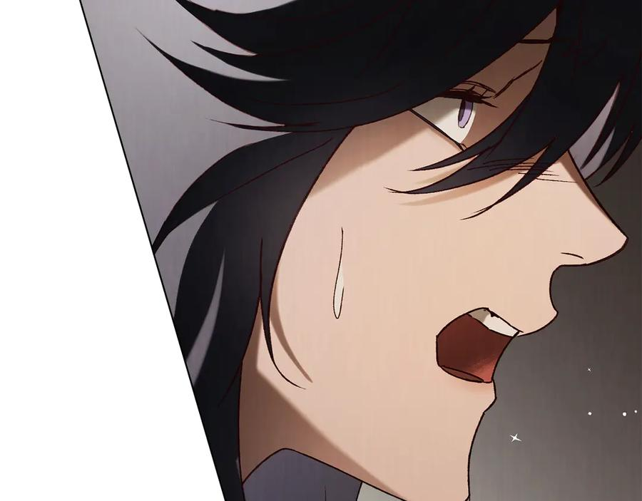 第255页
