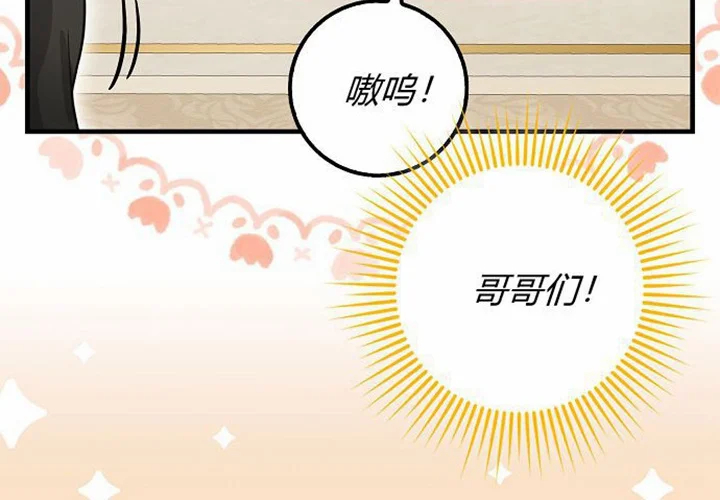 第255页
