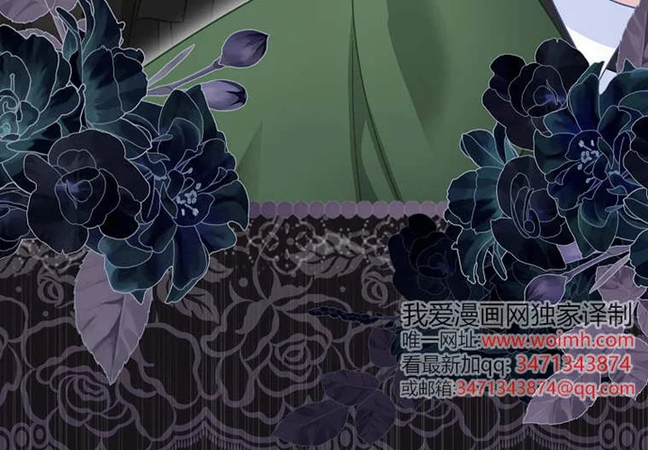 第221页