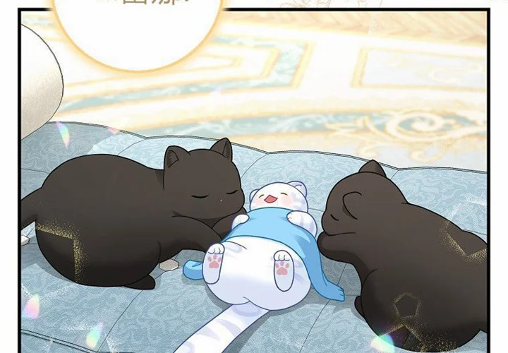 第303页