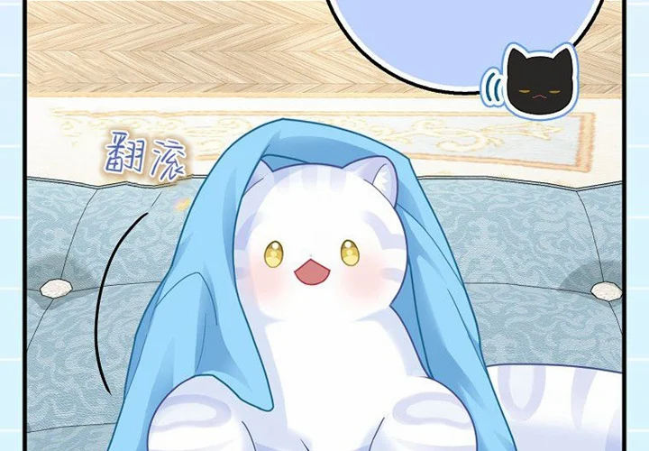 第276页