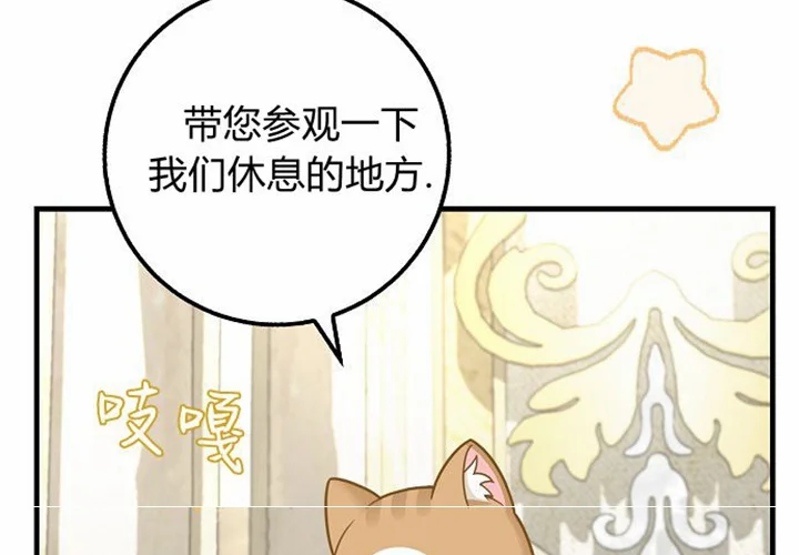 第247页