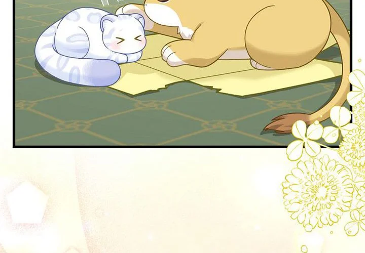 第260页