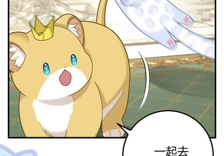 第244页