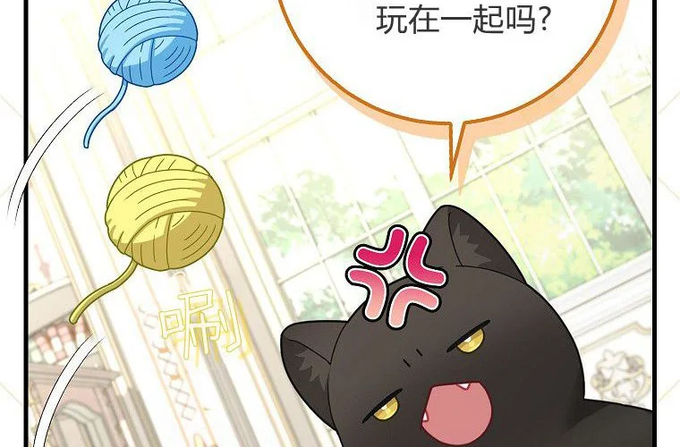 第250页