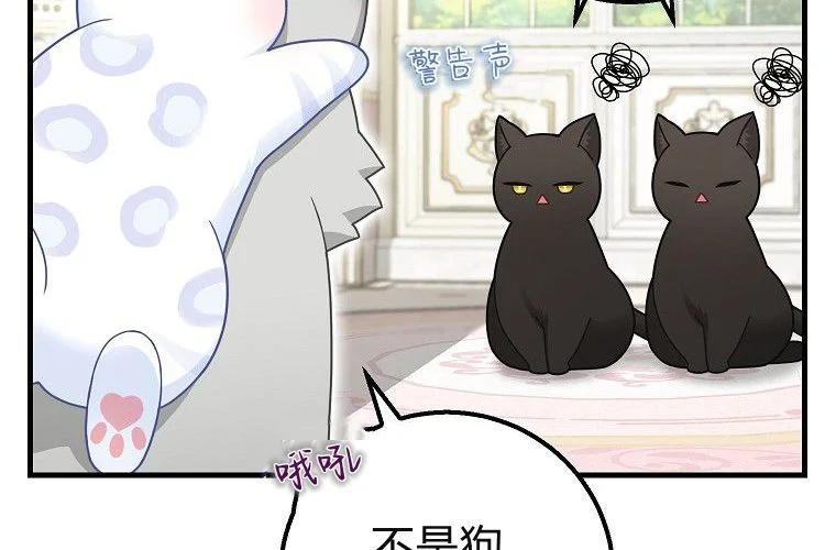 第247页