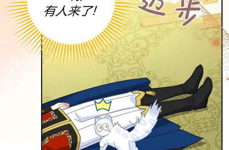 第219页