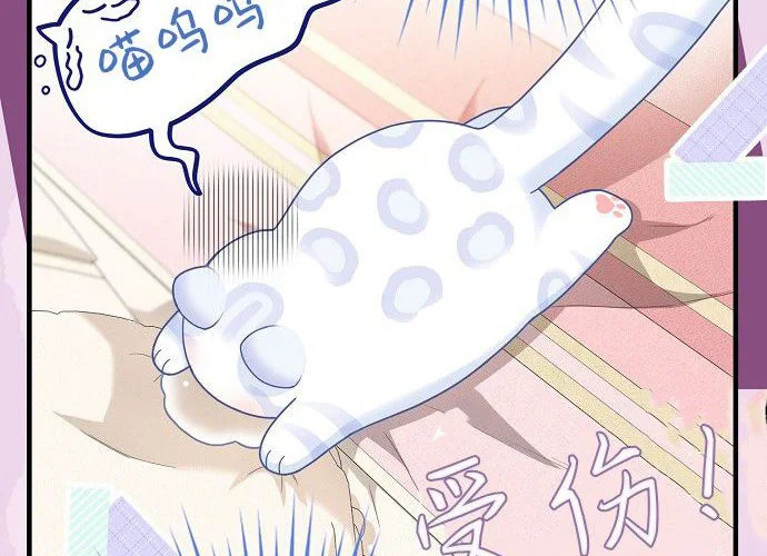 第246页