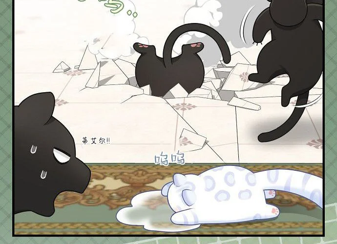 第260页