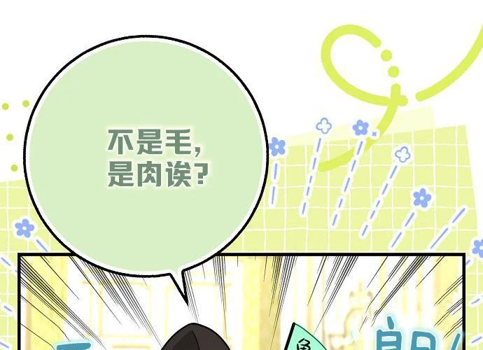 第256页