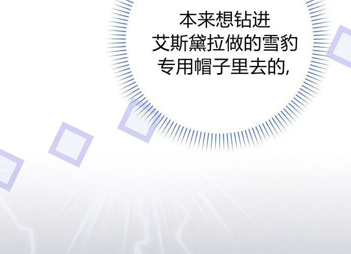 第237页