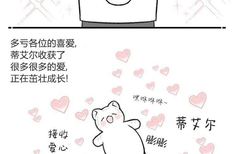 第253页