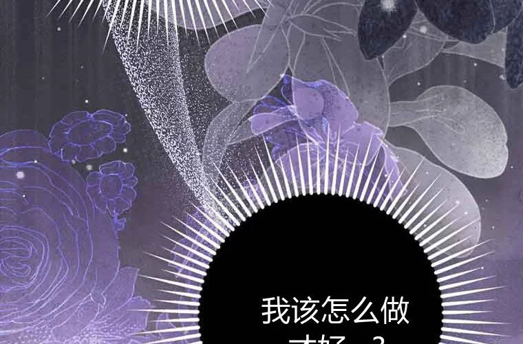第243页