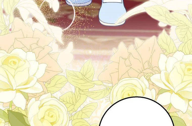 第206页