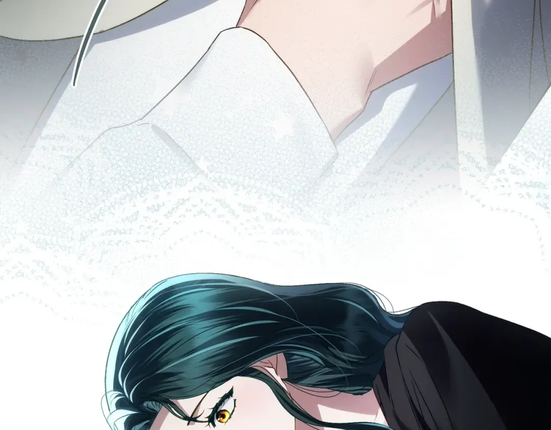第558页