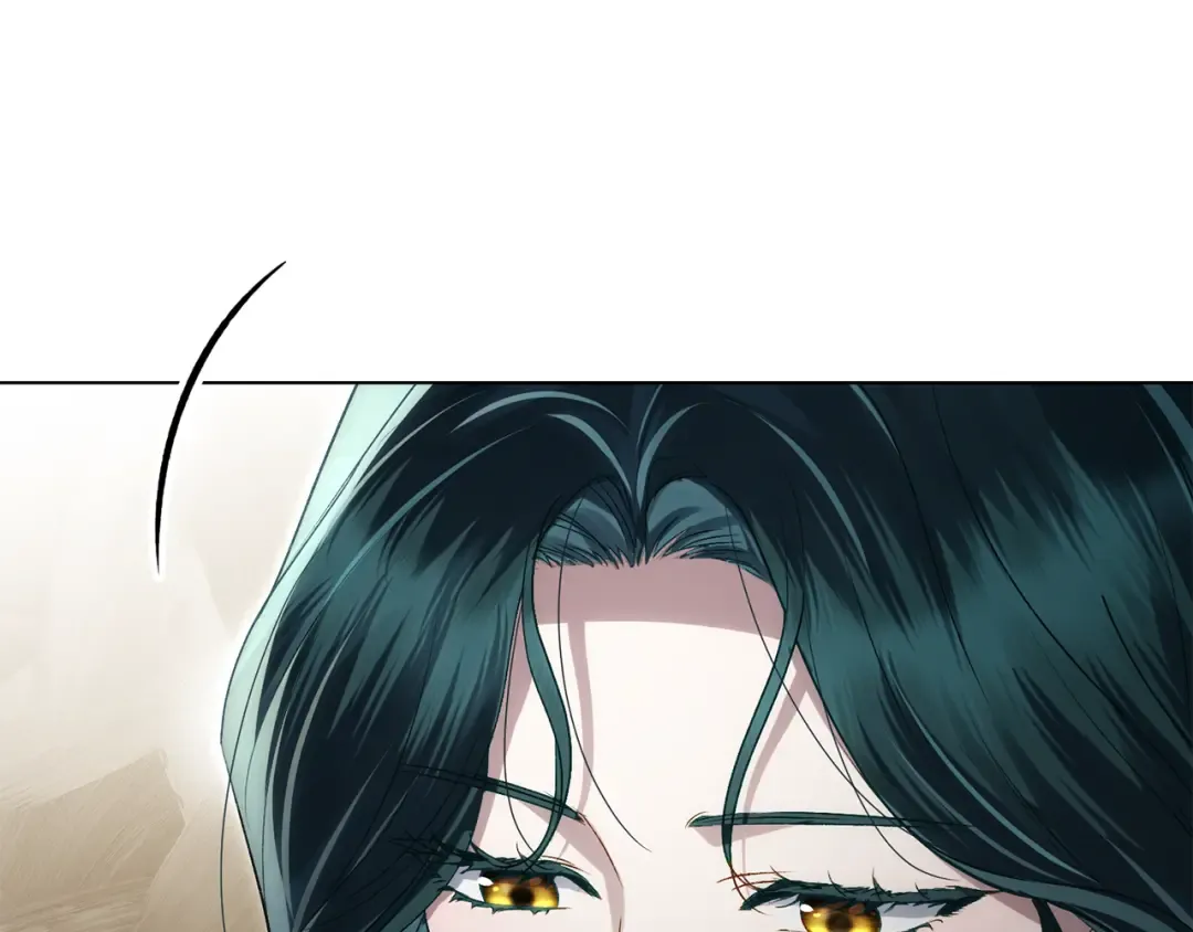 第369页