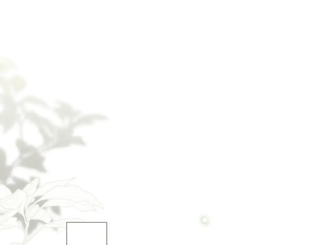 第321页