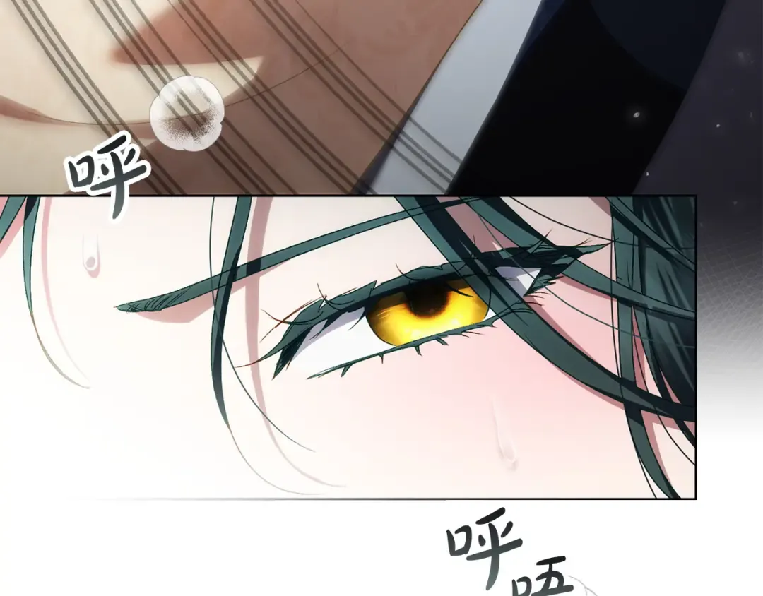 第216页