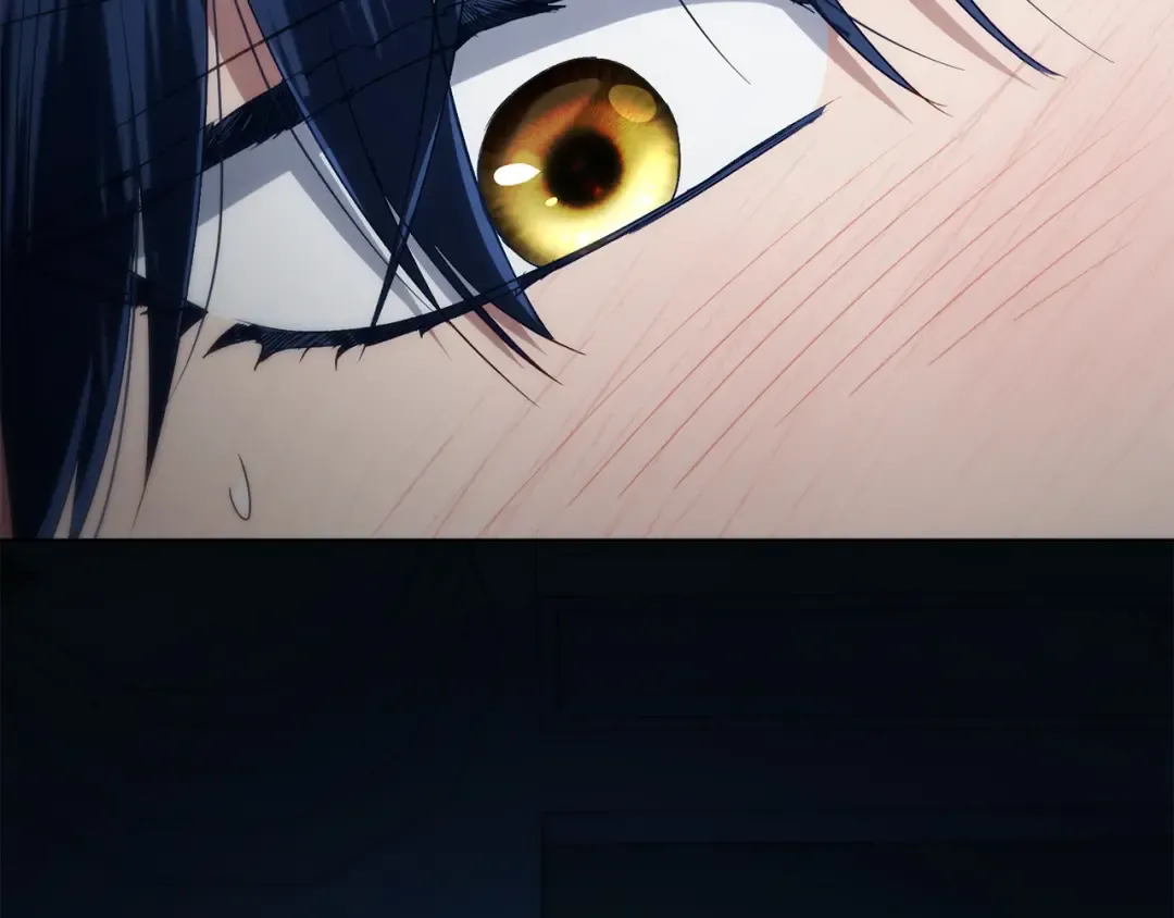 第210页