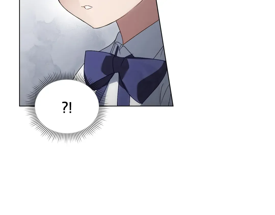 第456页
