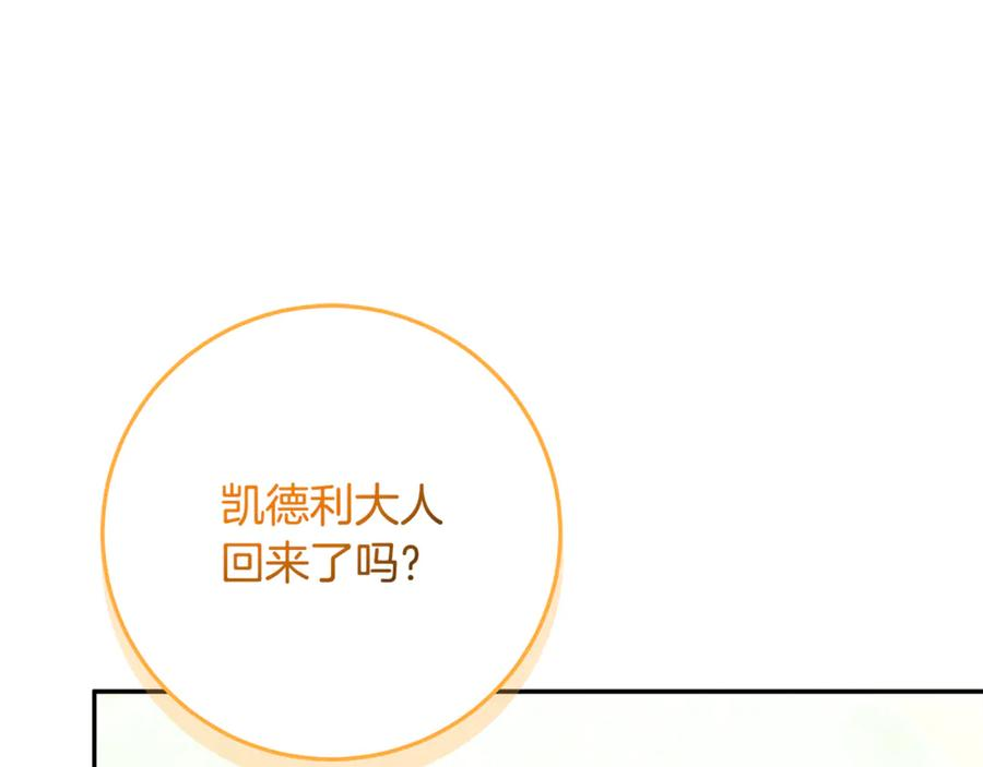 第567页