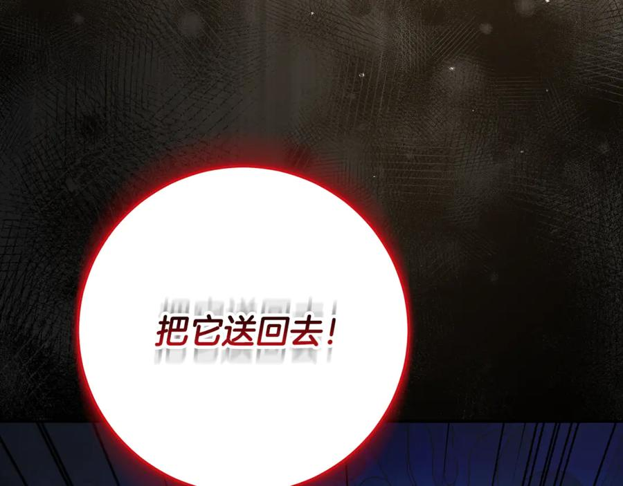 第510页