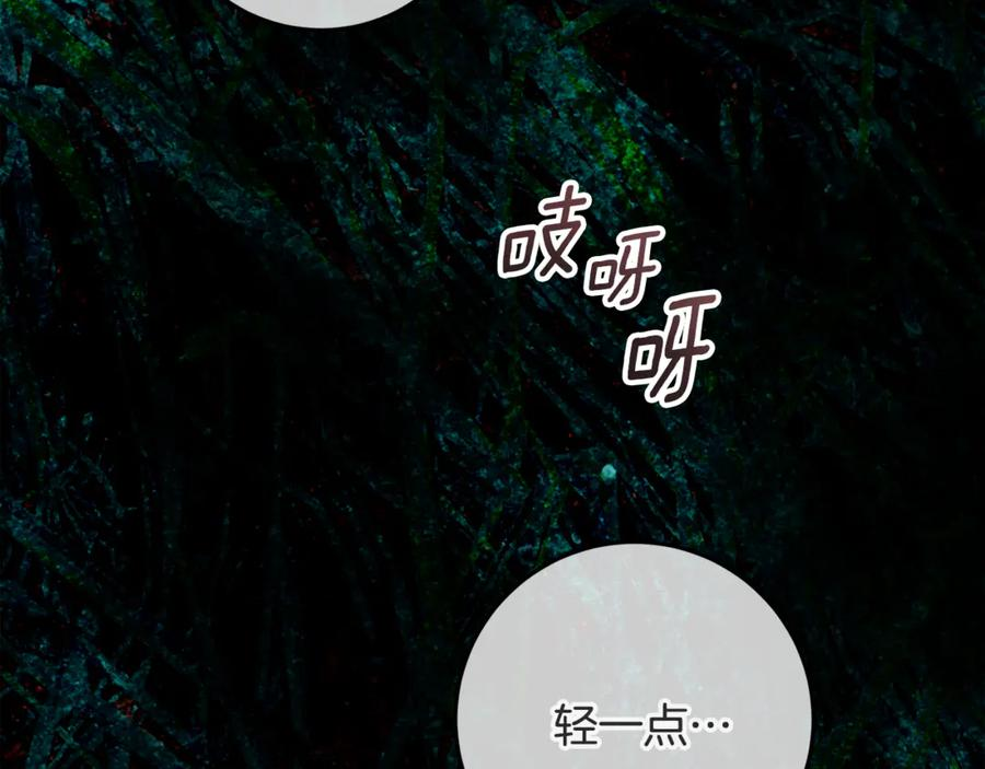 第519页