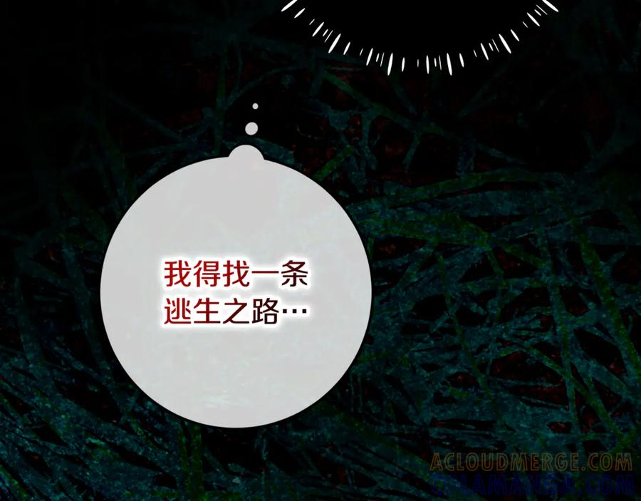 第504页