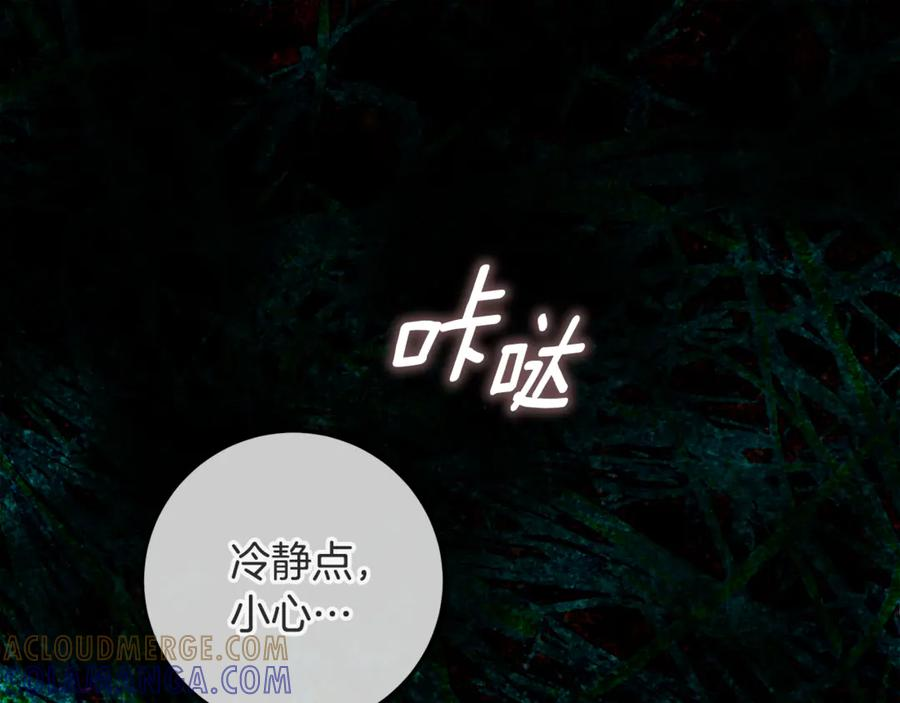 第516页